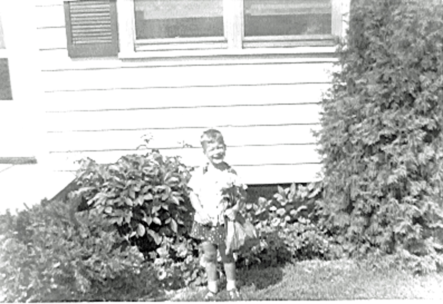 Steve photo 19